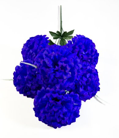 Букет шафрана "Рапан" 6 цветков