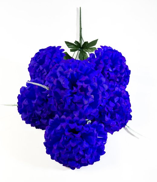 Букет шафрана "Рапан" 6 цветков