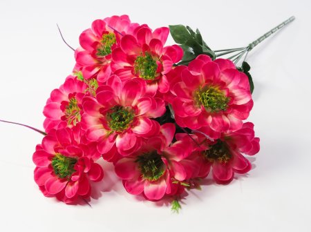 Георгин "Василиса" 9 цветков