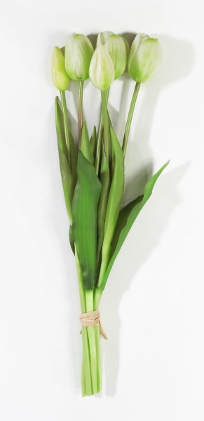 Букет тюльпанов 3+2 белые