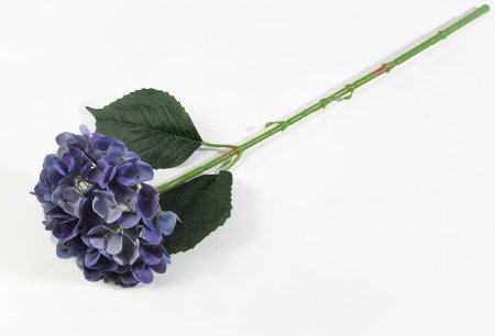 Гортензия "Бомбшел" фиолет