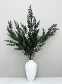 Можжевельник высока ветка