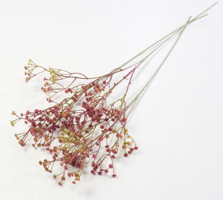 Ветка гипсофилы "Памада"