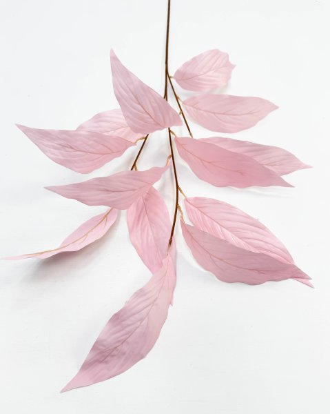 Аглаонема декоративная светло-розовая