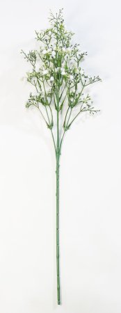 Ветка гипсофилы Ольхон белая