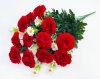 Гвоздика "Пылающее сердце" 24 ветки