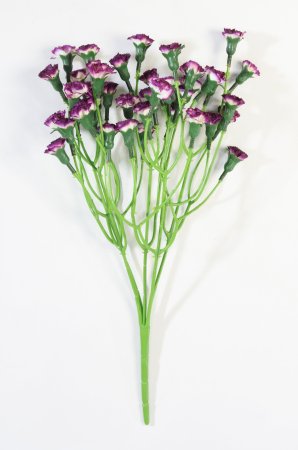 Букет гвоздик "Лель" византия