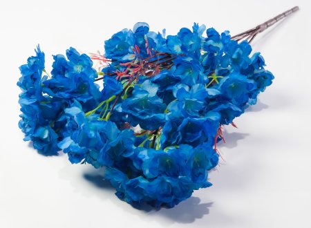 Ветка яблони 5 веток