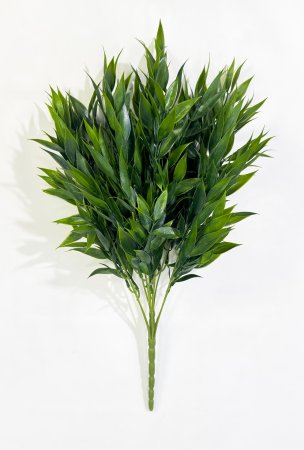 картинка Рускус большой букет 10 веток от магазина KALINA