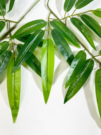 картинка Лист бамбука крупный от магазина KALINA