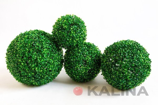 картинка Самшит №4- темный от магазина KALINA