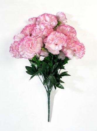 Букет гвоздик "Мадлен" 9 цветков