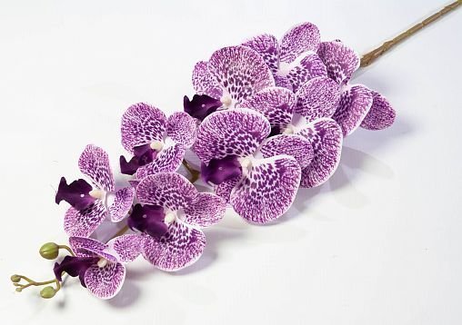 Ветка орхидеи 28 от магазина KALINA являющийся официальным дистрибьютором в России 