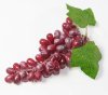 Гроздь винограда большая красная