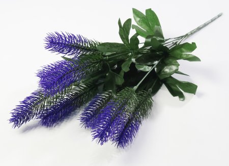 Ветка Хвоща  7 веток