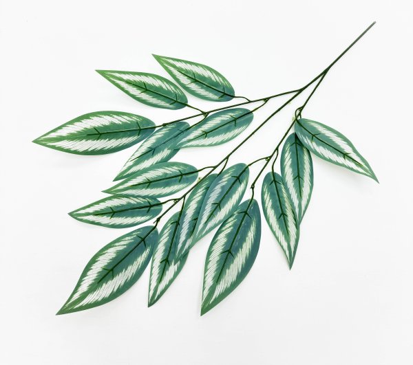 картинка Лист "Пестрый"  от магазина KALINA