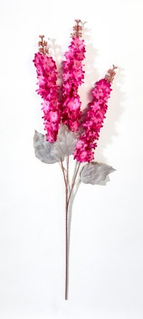 Дельфиниум "Суфле" малиновый