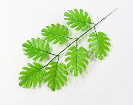 картинка Лист монстеры мелкой от магазина KALINA