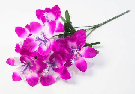 Букет лилий Александрит 6 цветков