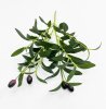 картинка Олива букет 6 веток от магазина KALINA