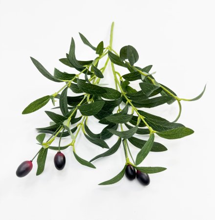 картинка Олива букет 6 веток от магазина KALINA