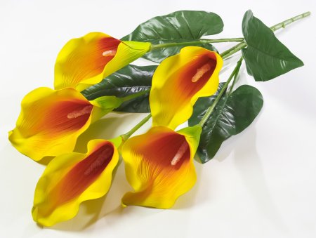 Букет калла 5 цветков