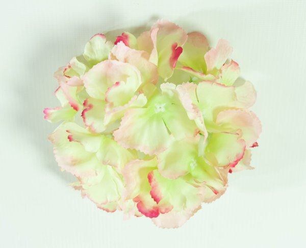 Насадка гортензии