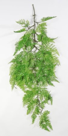 картинка Ветка Даваллия ампельная от магазина KALINA