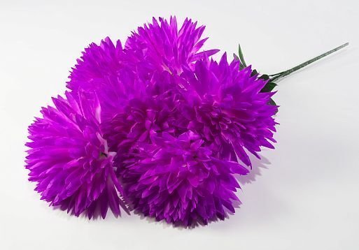 Хризантема "Талисман гигант" 6 цветков от магазина KALINA являющийся официальным дистрибьютором в России 