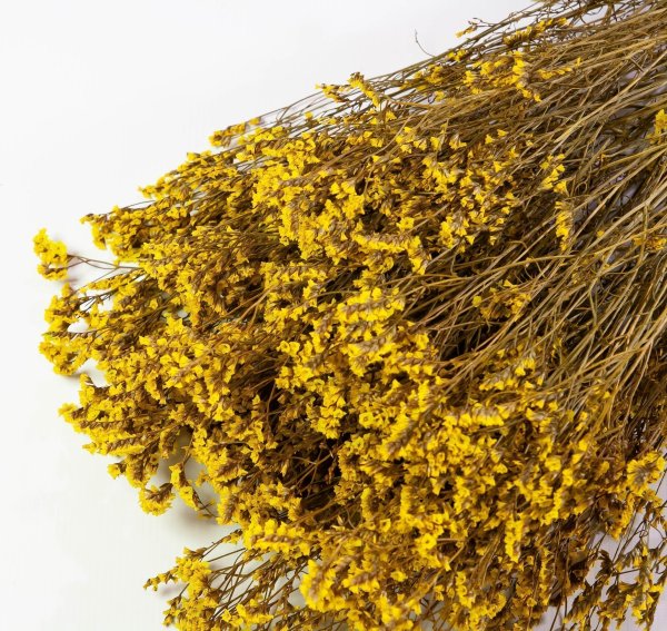 Лимониум стабилизированный 6