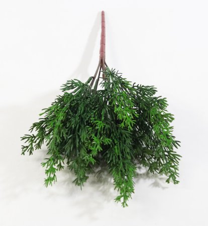 картинка Ветка туи темно-зеленая от магазина KALINA