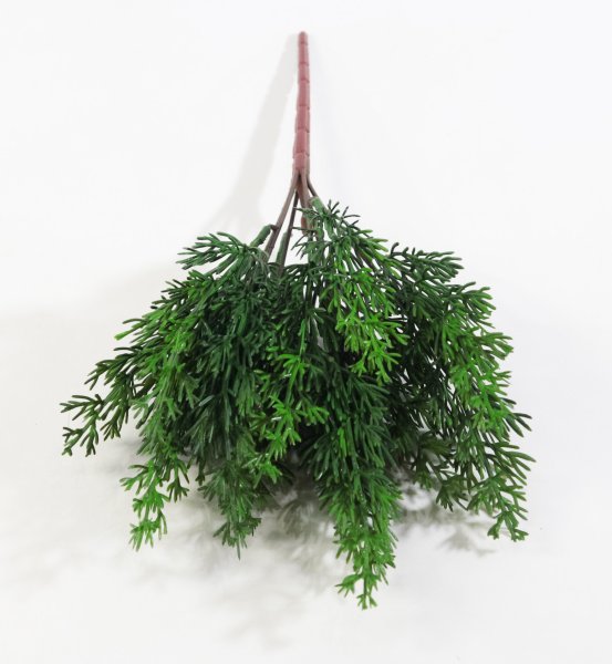 картинка Ветка туи темно-зеленая от магазина KALINA