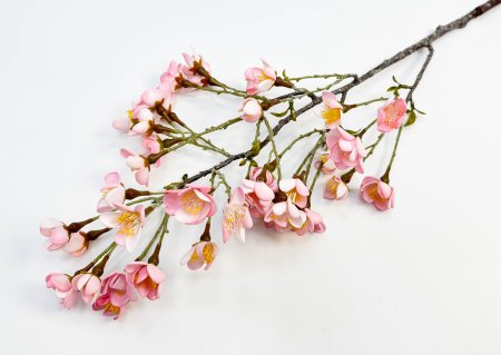 Сакура "Японская" розовая