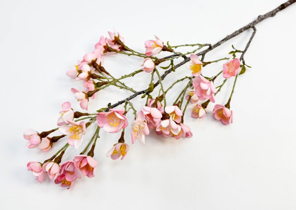 Сакура "Японская" розовая