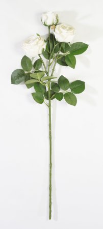 Ветка розы 3 цветка с латексным покрытием молочная