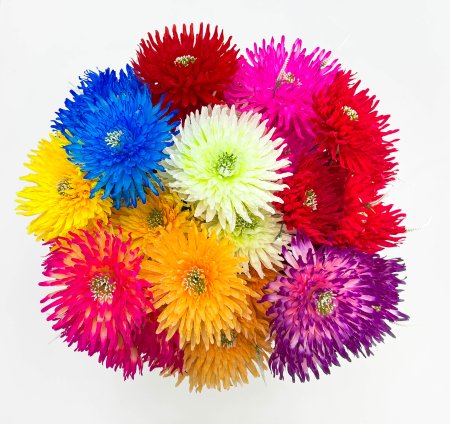 Астра "Дуняша большая" 7 цветков