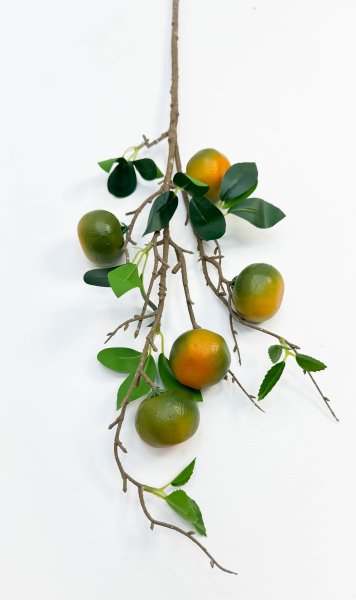 Ветка зеленых мандарин 5 плодов