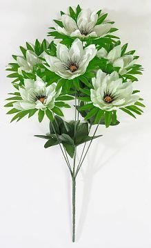 Кувшинка "Тедди" 6 цветков от магазина KALINA являющийся официальным дистрибьютором в России 