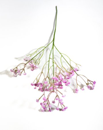 Ветка гипсофилы "Нежно-розовая"