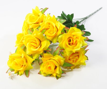 Роза с ромашкой Золушка 9 цветков