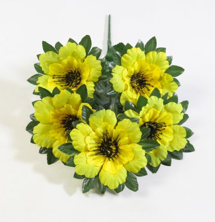 Букет с черной тычинкой "Ночка" 5 цветков