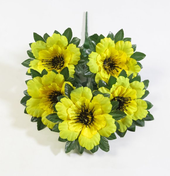 Букет с черной тычинкой "Ночка" 5 цветков