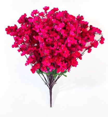 Куст сакуры 36 веток