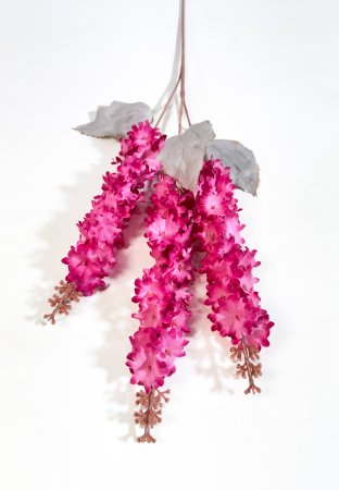 Дельфиниум "Суфле" малиновый