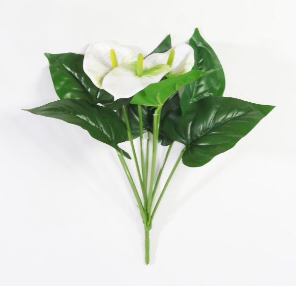 Антуриум "Белый"  3 цветка