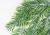 картинка Ветка ампельной бамбуковой пальмы от магазина KALINA