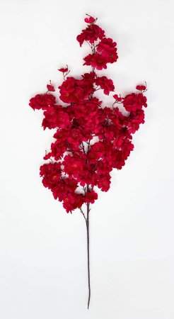 Сакура "Ветка Ханами" красная