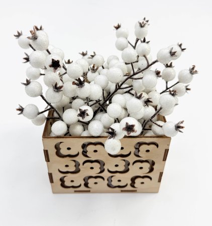 Насадка шиповника с белыми ягодами в инее