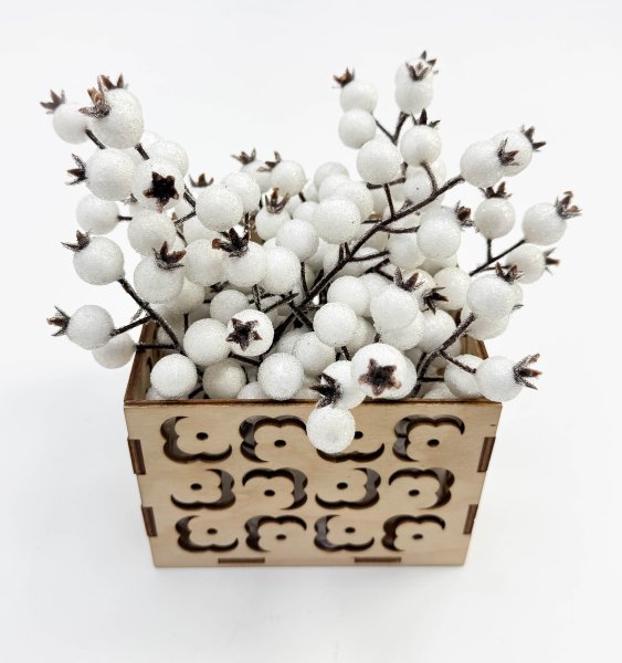 Насадка шиповника с белыми ягодами в инее