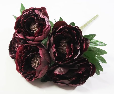 Букет пиона "Мэджик" 5 цветков